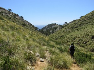 IMG_6692 (Medium)